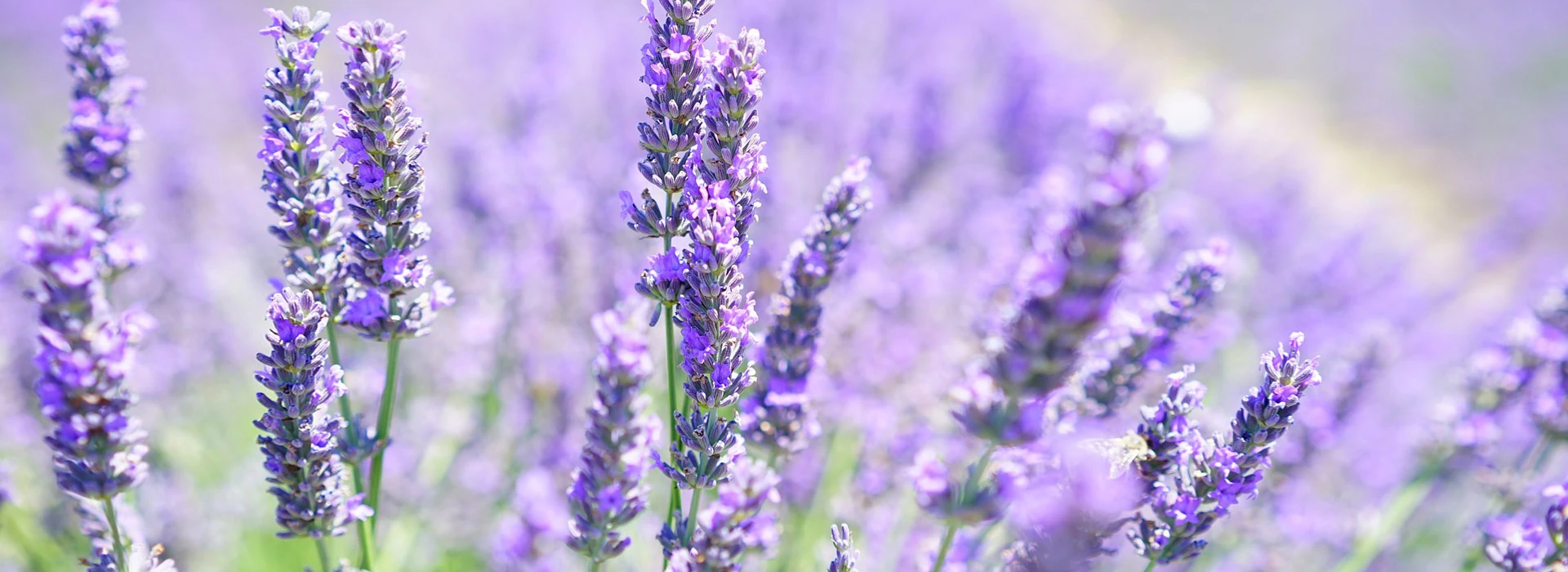 Individuelle Gestaltung